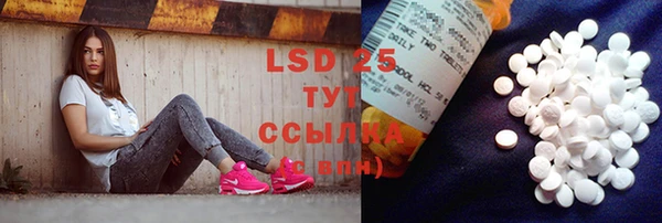 ГАЛЛЮЦИНОГЕННЫЕ ГРИБЫ Майский