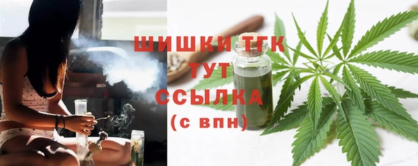 ГАЛЛЮЦИНОГЕННЫЕ ГРИБЫ Майский