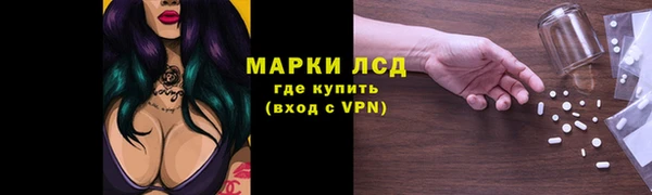 ГАЛЛЮЦИНОГЕННЫЕ ГРИБЫ Майский