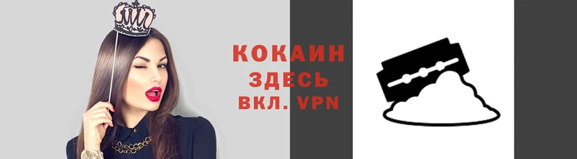 ALPHA PVP Магас