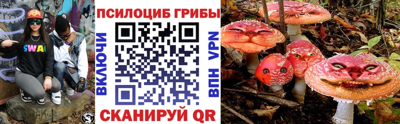 Галлюциногенные грибы Psilocybe  Усть-Илимск 